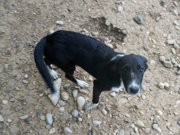 20250815-fotos-flavia-3