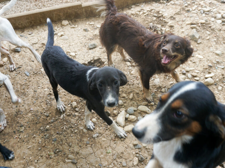 20250815-fotos-flavia-4