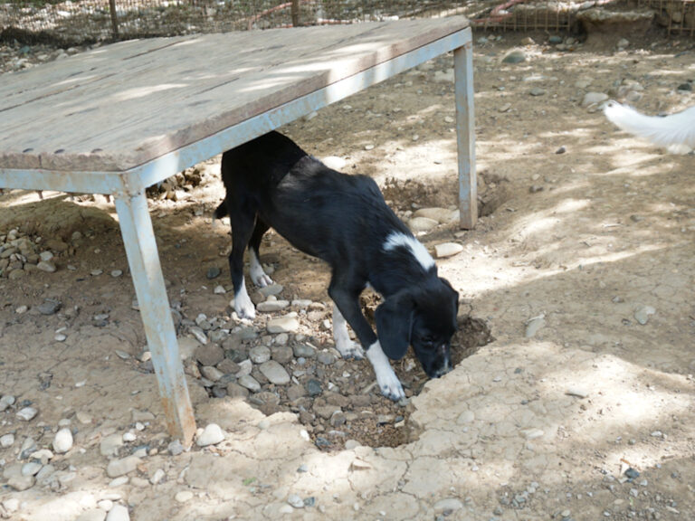 20250815-fotos-flavia-5