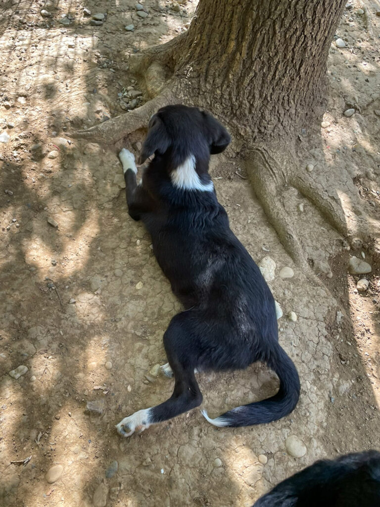 20250815-fotos-flavia-8