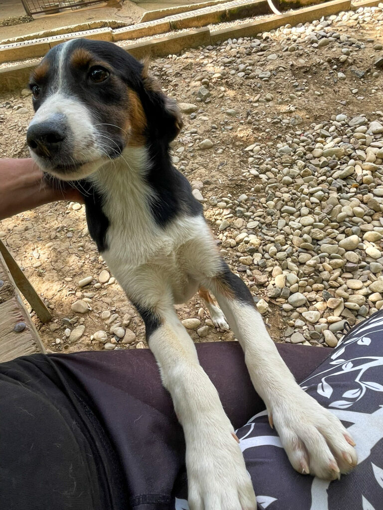 20250815-fotos-loara-1