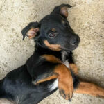 20250815-fotos-roxana-08