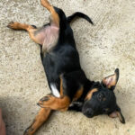 20250815-fotos-roxana-09