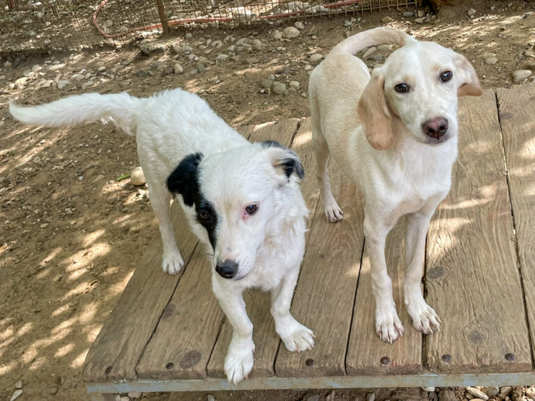 20250815-fotos-tiago-02