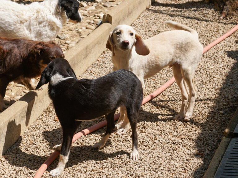 20250815-fotos-tiago-05