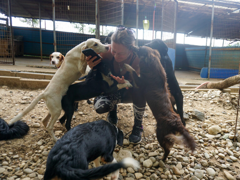 20250815-fotos-tiago-06