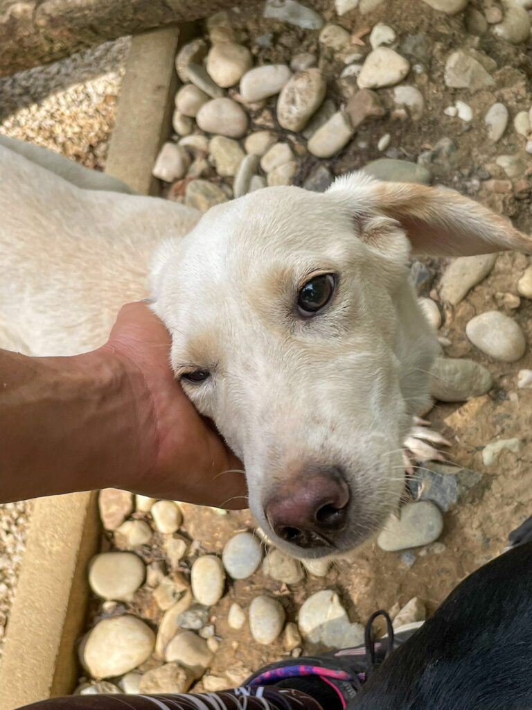 20250815-fotos-tiago-08