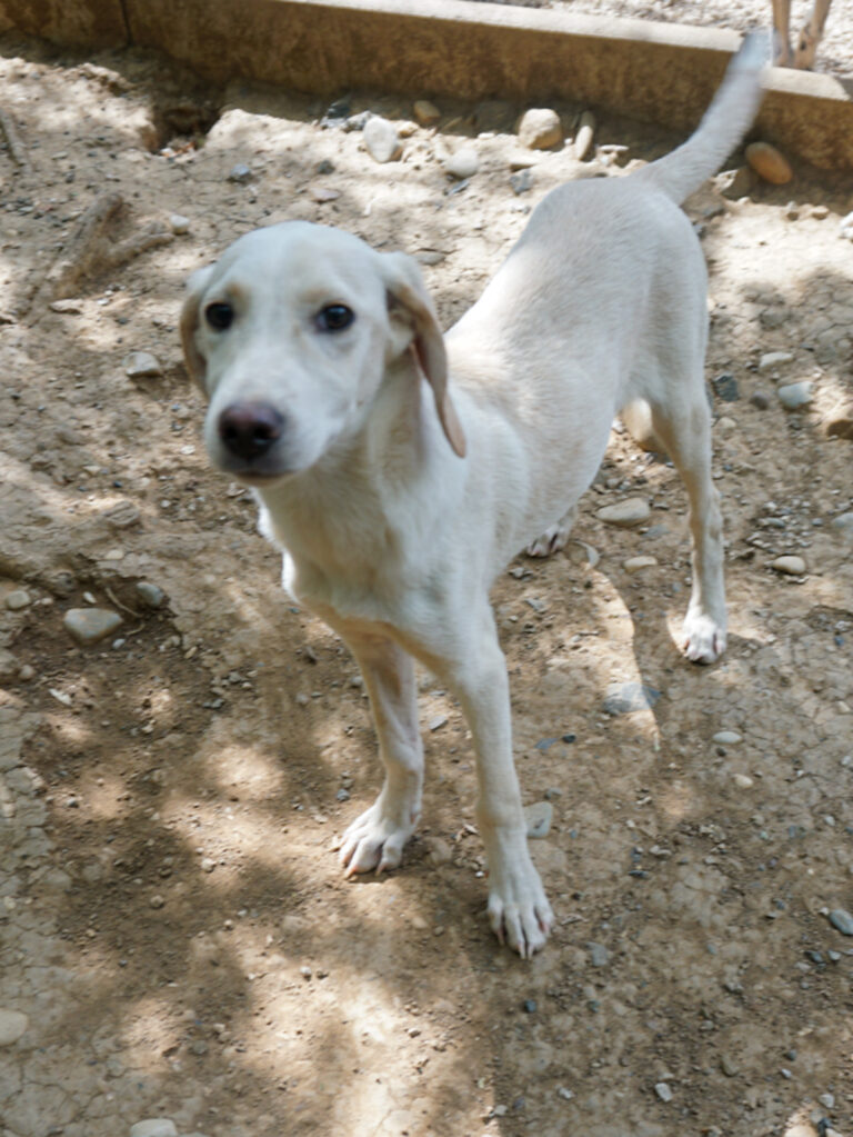 20250815-fotos-tiago-09