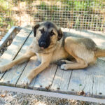 20250921-fotos-josephine-1