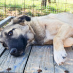 20250921-fotos-josephine-3