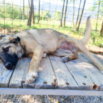 20250921-fotos-josephine-6