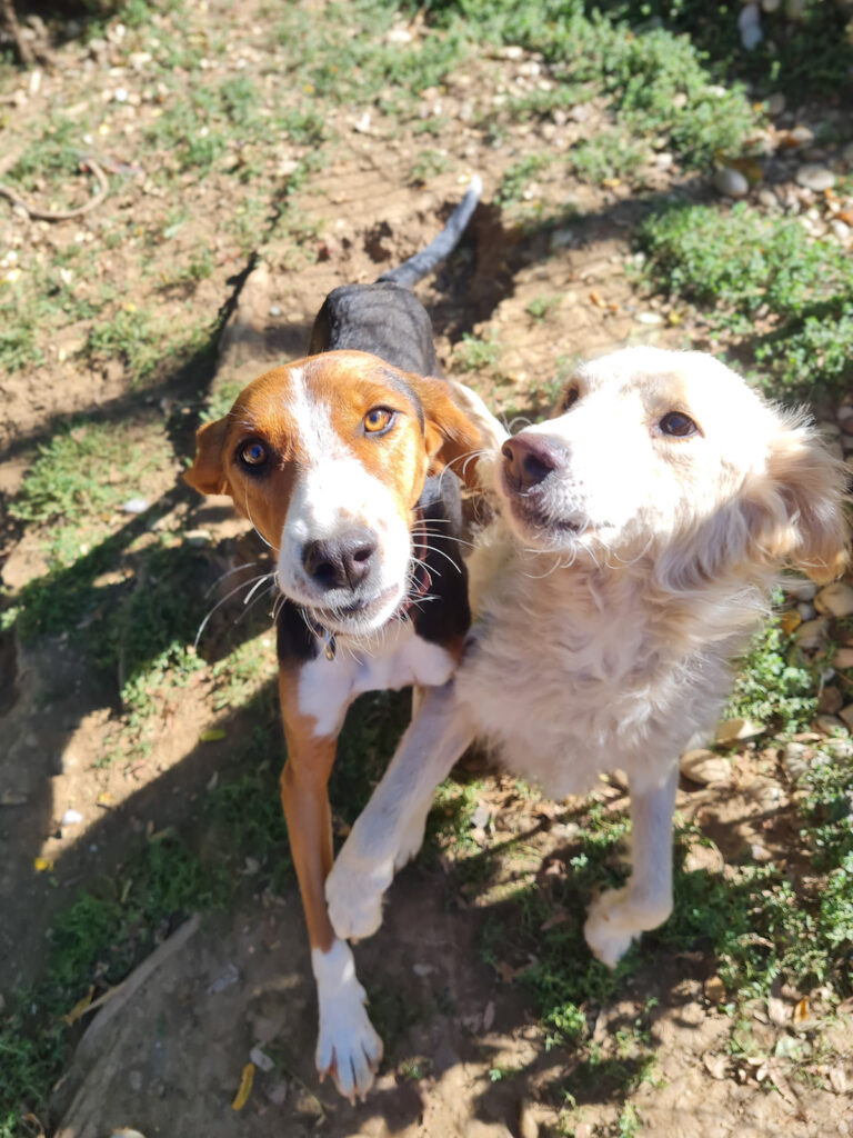 20250921-fotos-ofelia-2