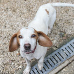 20250930-fotos-fico-01