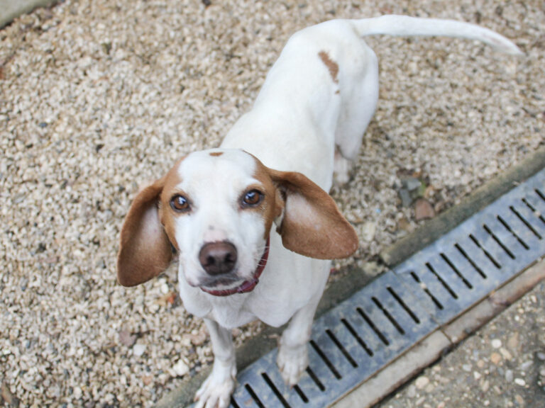 20250930-fotos-fico-01