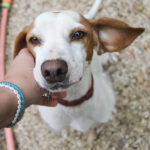 20250930-fotos-fico-02