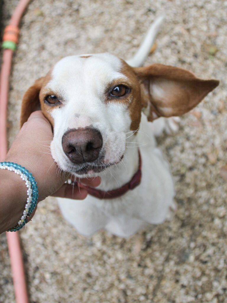 20250930-fotos-fico-02