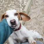 20250930-fotos-fico-03