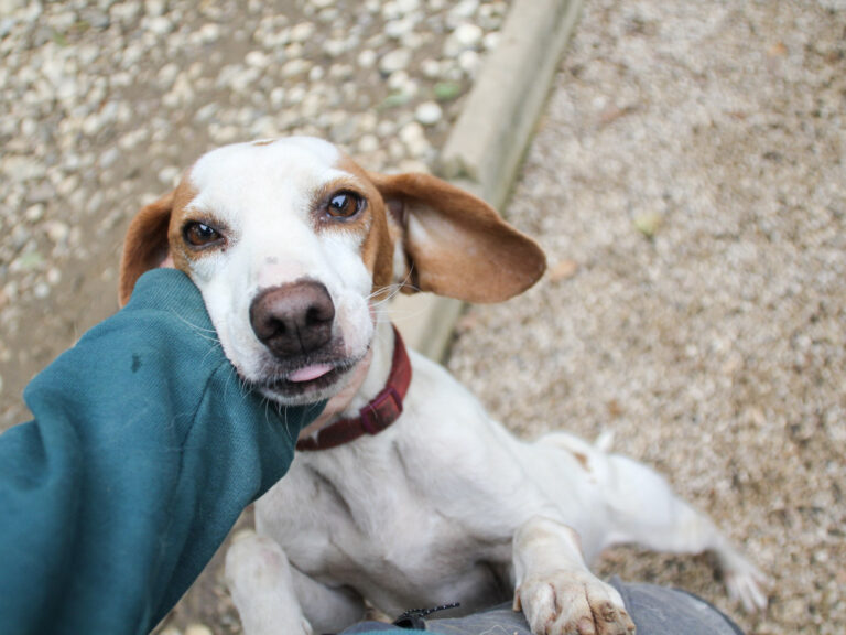 20250930-fotos-fico-03