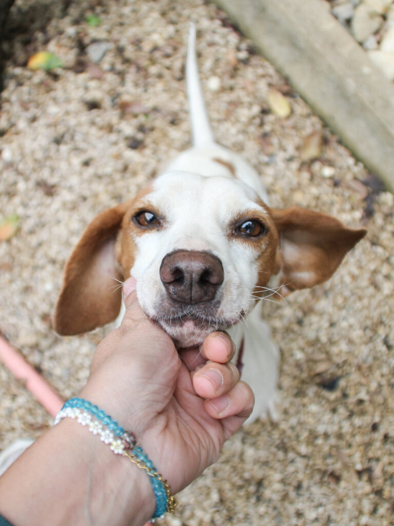 20250930-fotos-fico-07