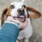 20250930-fotos-fico-10