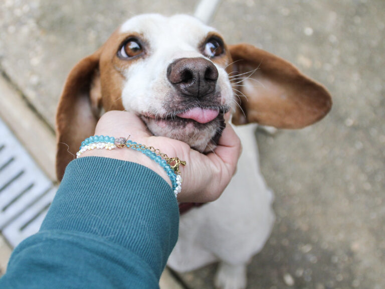 20250930-fotos-fico-10