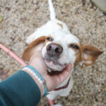 20250930-fotos-fico-12