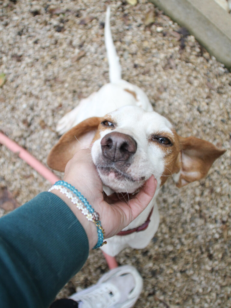 20250930-fotos-fico-12