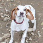 20250930-fotos-fico-14