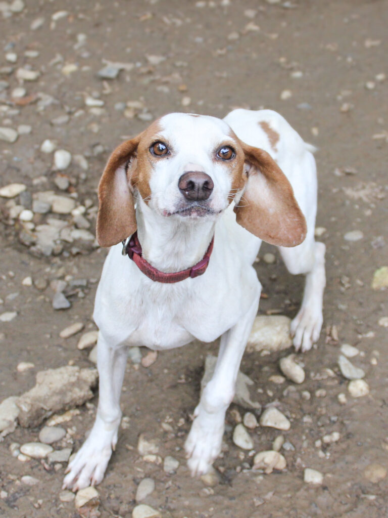 20250930-fotos-fico-14