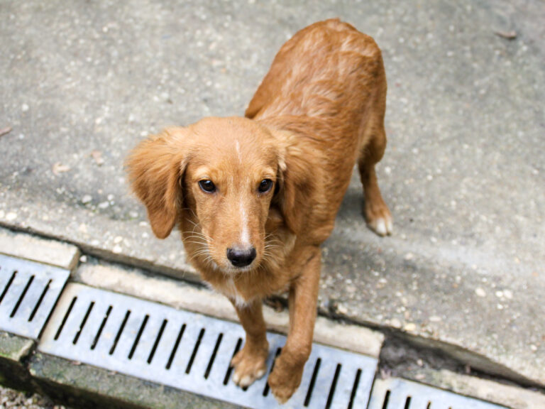 20250930-fotos-igor-01