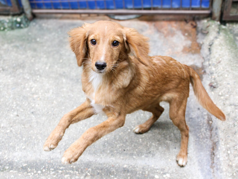 20250930-fotos-igor-02