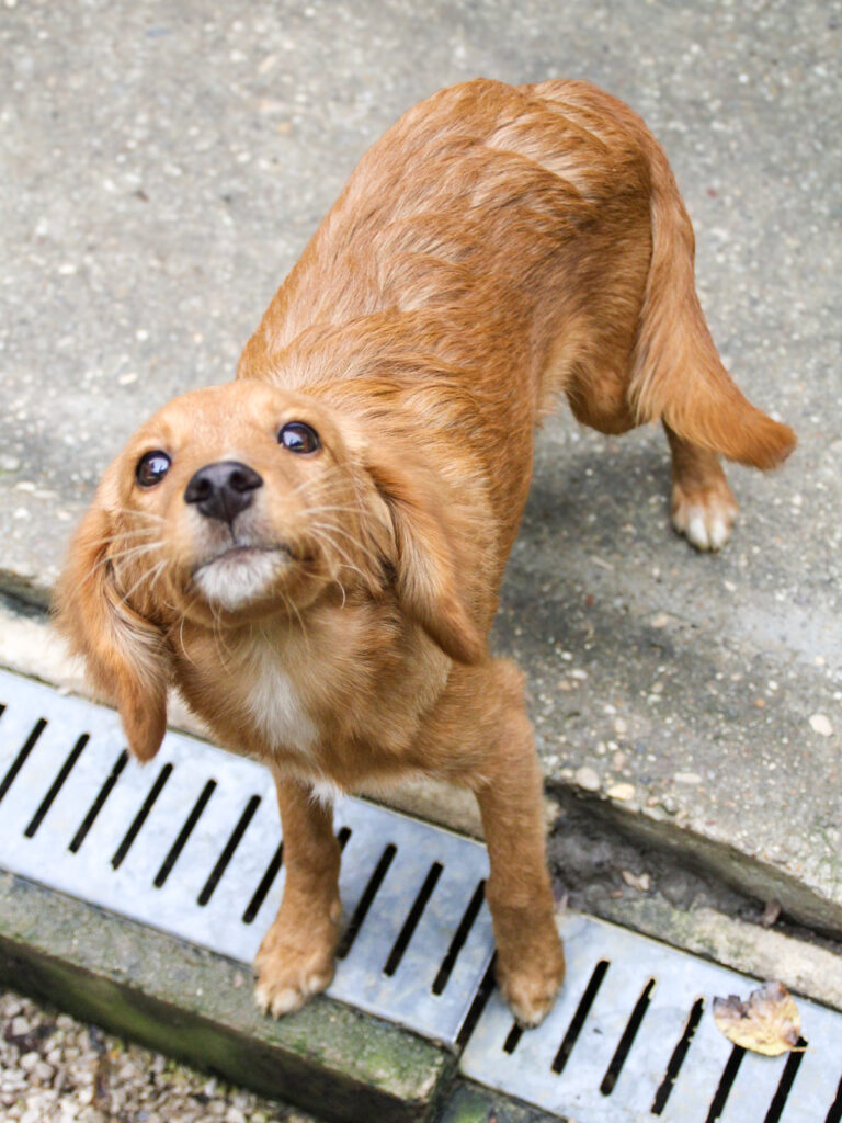 20250930-fotos-igor-04