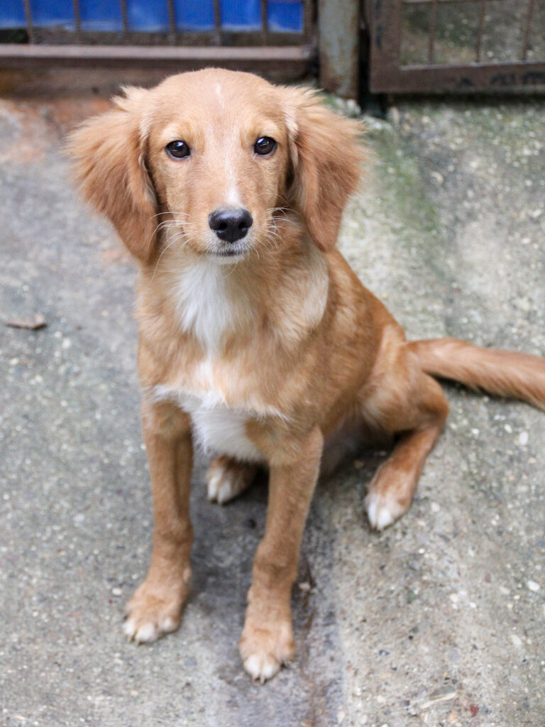 20250930-fotos-igor-06