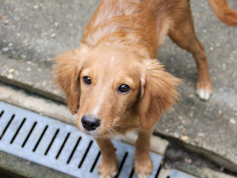 20250930-fotos-igor-10