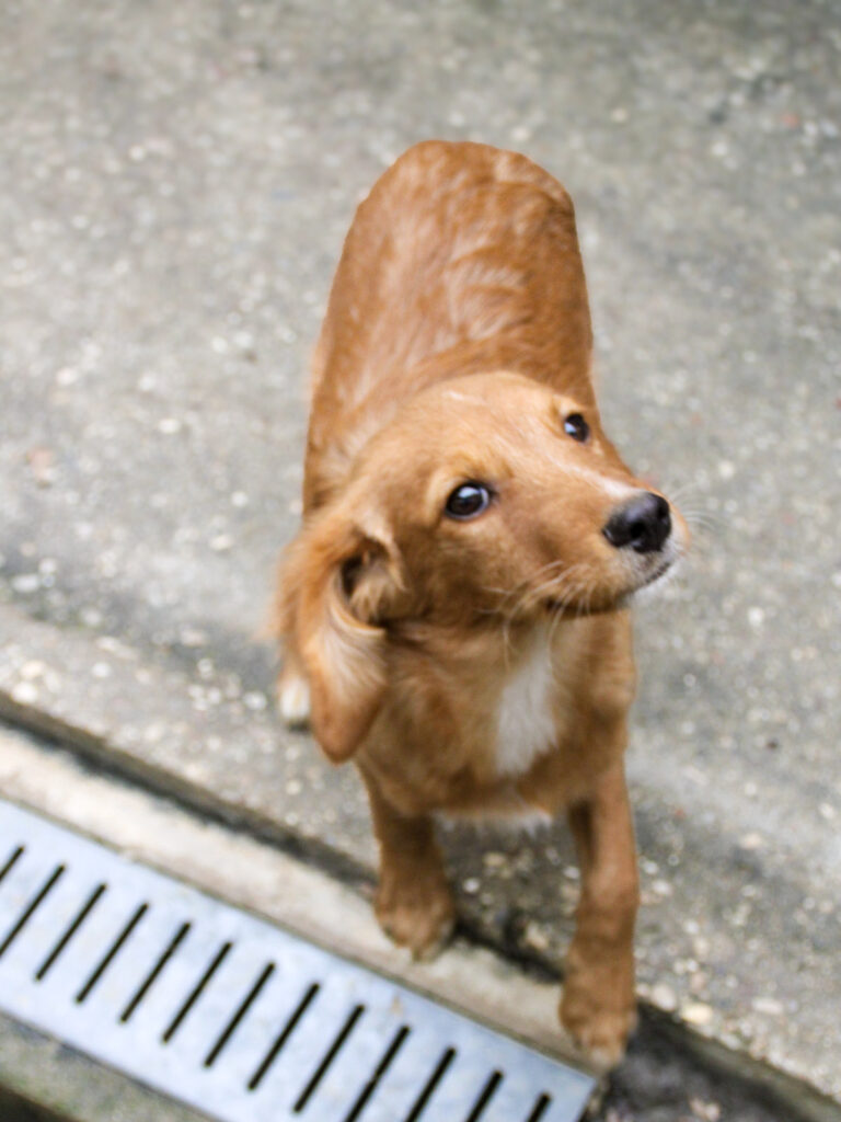 20250930-fotos-igor-11