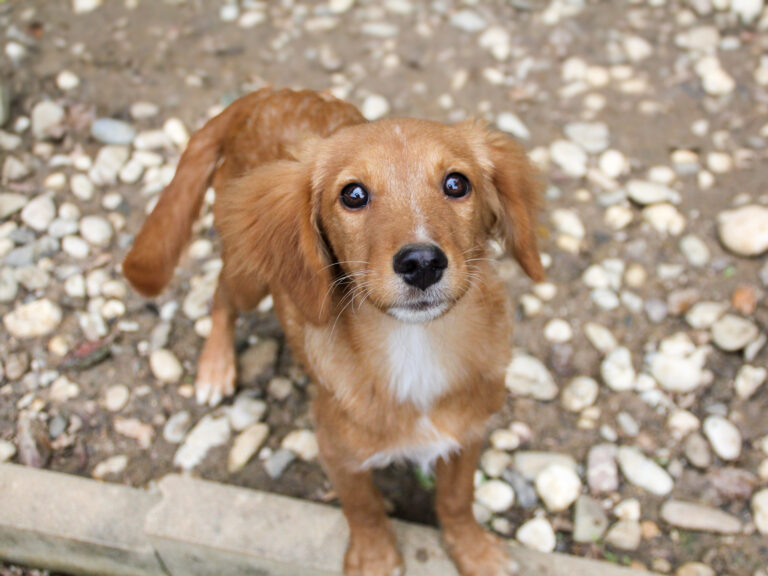 20250930-fotos-igor-12