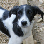 20250930-fotos-ilias-01