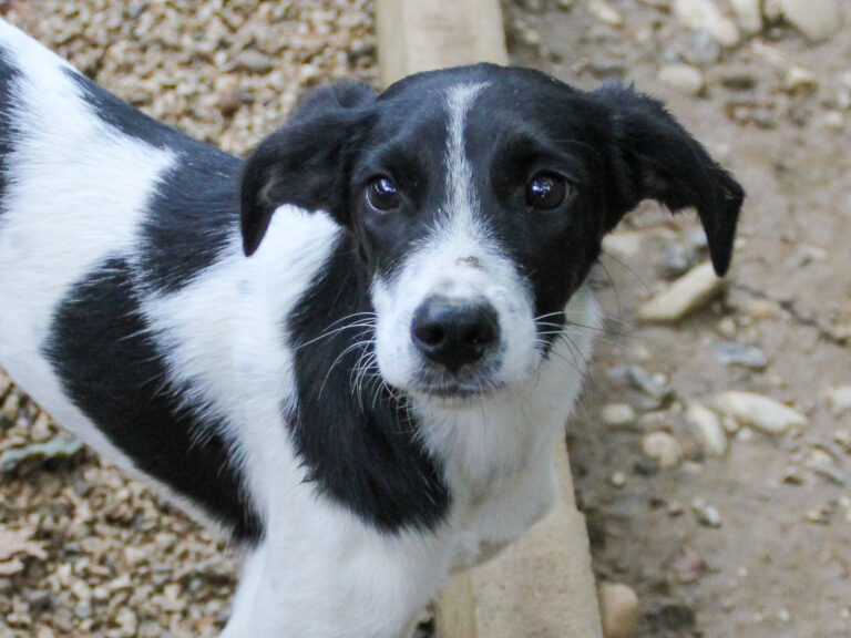 20250930-fotos-ilias-01