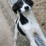 20250930-fotos-ilias-02