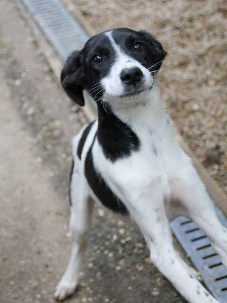 20250930-fotos-ilias-02