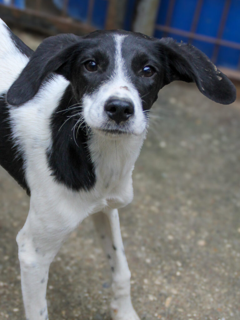 20250930-fotos-ilias-03