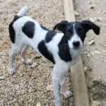 20250930-fotos-ilias-04