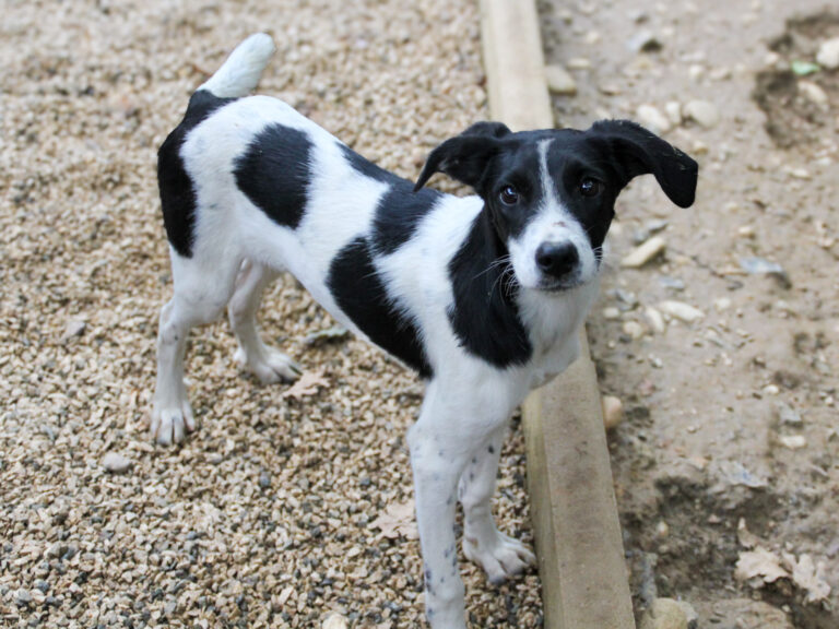 20250930-fotos-ilias-04