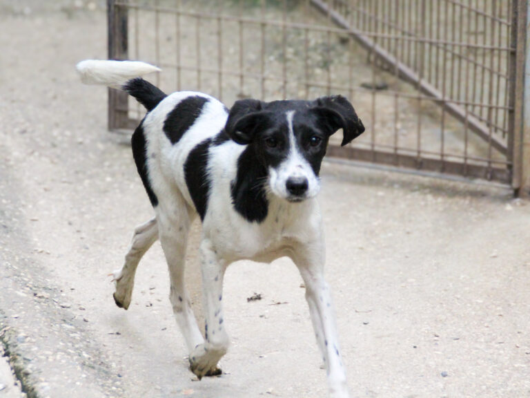 20250930-fotos-ilias-09