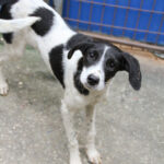 20250930-fotos-ilias-11