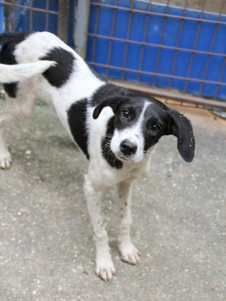 20250930-fotos-ilias-11