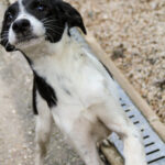 20250930-fotos-ilias-12