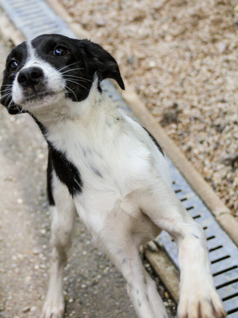 20250930-fotos-ilias-12