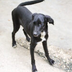 20250930-fotos-irma-2