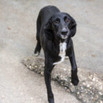 20250930-fotos-irma-4